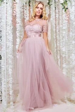 Women * Embroidered Mesh Maxi Dress