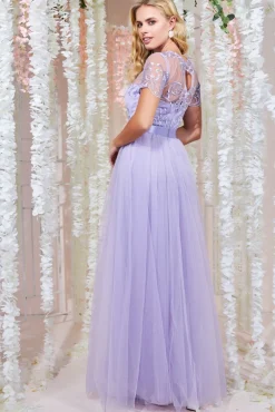 Women * Embroidered Mesh Maxi Dress
