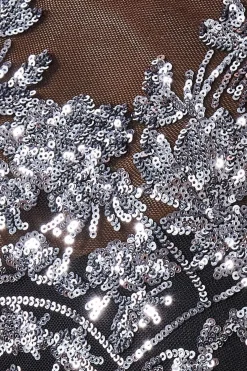 Women * Sequin Mesh Embroidered Maxi Dress