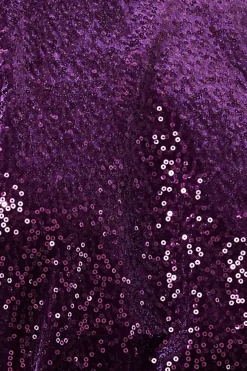 Women * Sequin Velvet Jumper