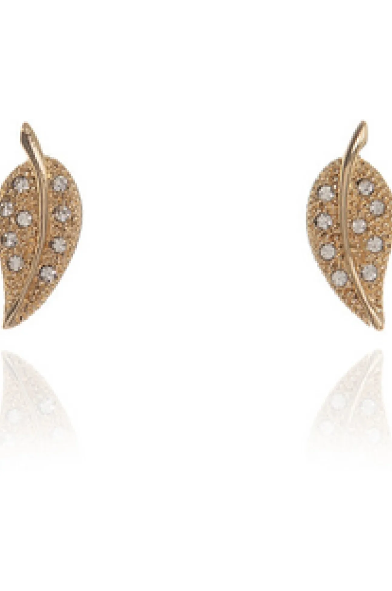 Women Cachet London Leafy Earrings 18Ct Plated