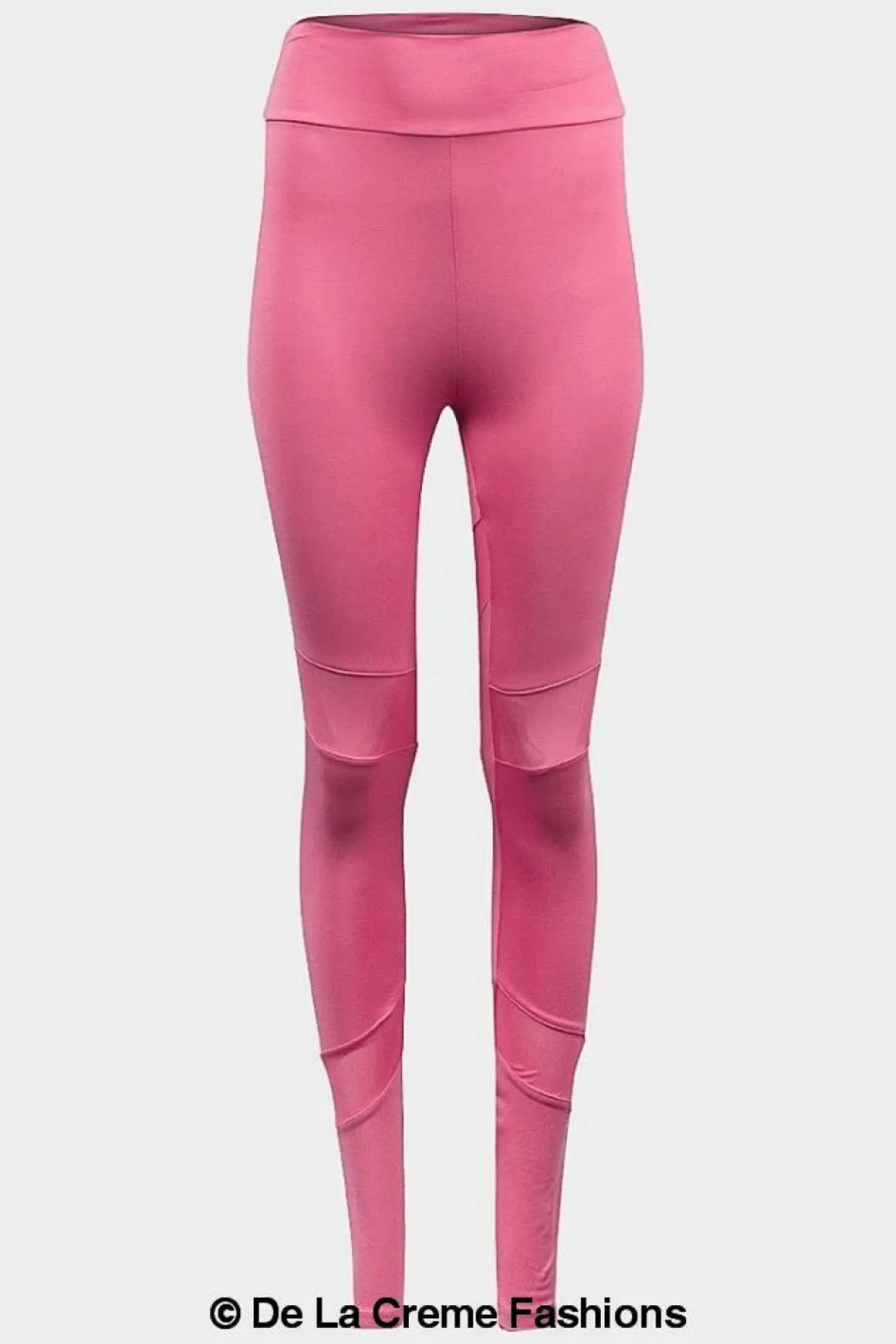 Women De La Creme Fashions Mesh Panel Leggings