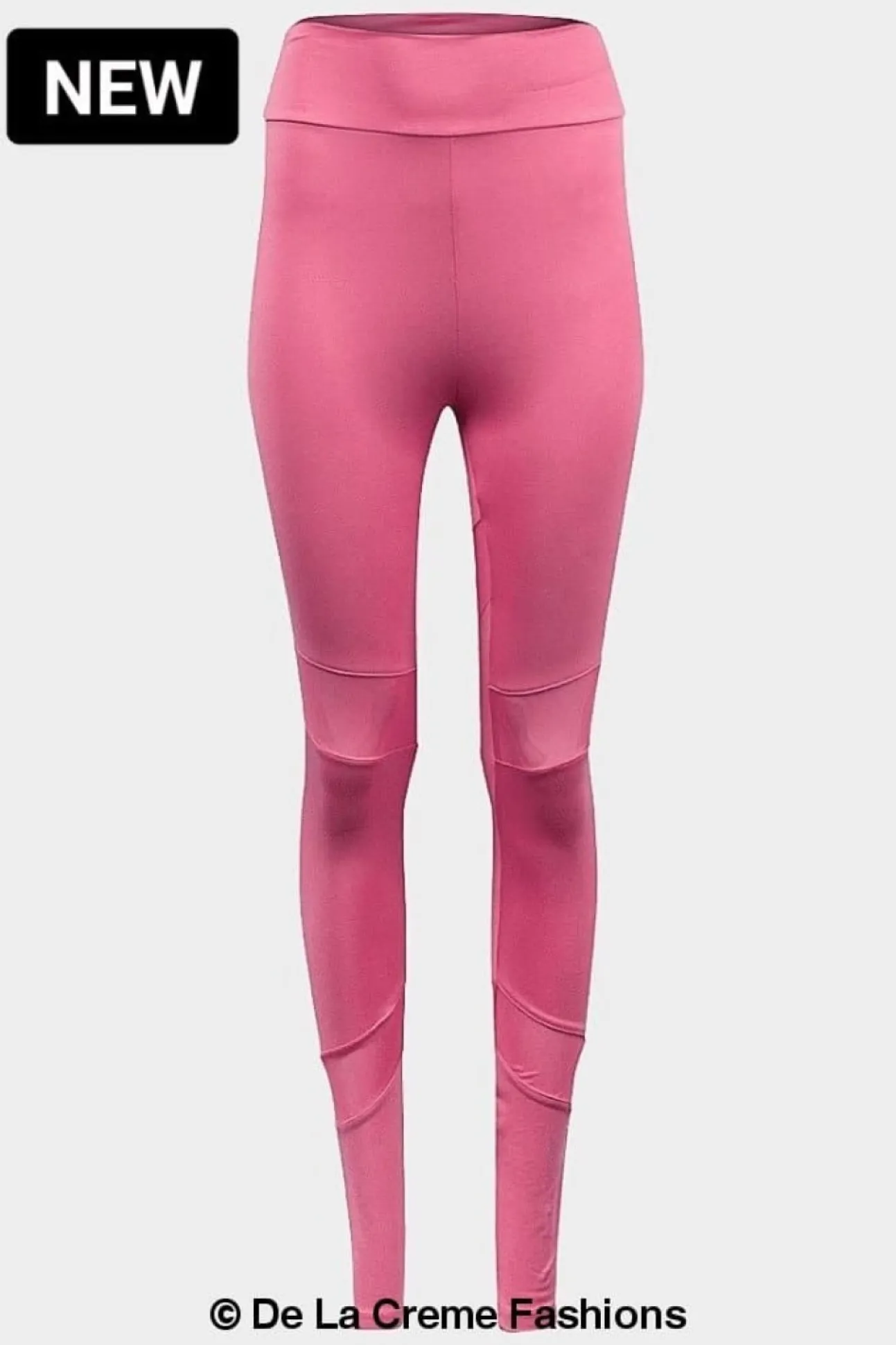 Women De La Creme Fashions Mesh Panel Leggings