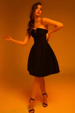 Women Double Second Jacquard Strapless Skater Dress